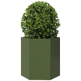thumbnail of vidaXL Garten-Pflanzgefäße 2 Stk.Olivgrün Sechseckig 46x40x45 cm Stahl
