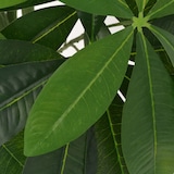 thumbnail of Árbol de la fortuna artificial con macetero 85 cm verde