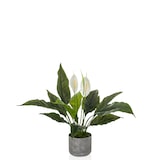 thumbnail of Planta artificial Spathiphyllum 1 hjh OFFICE
