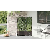 thumbnail of vidaXL Gartenpflanzer Braun 80 x 80 x 142 cm Stahl