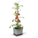 thumbnail of Gusta Garden Tom Tomato Draußen Topfpflanzer Freistehend Aluminium, Polypropylen (PP) Grau