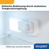 thumbnail of Exquisit Vollraumkühlschrank KS320-V-H-040D inoxlook | Nutzinhalt: 242 L | 5 Glasablagen | LED-Beleuchtung | Ohne Gefrierfach