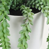 thumbnail of LIGNE DÉCO Plante succulente retombante artificielle 44cm