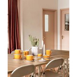 thumbnail of Seltmann Weiden Liberty Pure Colors Kombiuntertasse ø 16 cm 6er Set - Mango Orange