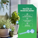 thumbnail of HGMD Waterdruppelaar set van 8 stuks voor planten blauw - Blauw