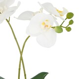 thumbnail of CREATIV green künstliche Pflanze Phalaenopsis in silberner Keramikschale, weiß, 38cm, Real Touch