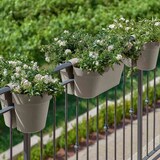 thumbnail of Balkonhängetopf BE-UP 25 cm, taupe