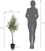 thumbnail of Kunstpflanze / Kunstbaum OLIVE Kunststoff grün 120 cm hjh OFFICE