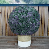 thumbnail of Künstlicher Busch HWC-L77, Buchskugel Dekopflanze Buchsbaumkugel Kunstpflanze Buxus, Outdoor Ø 55cm ~ lila