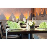 thumbnail of MANK Airlaid Tischläufer Green Bamboo, 40 cm x 24 m, 1 Stück - Floral Bambus Bambuswald