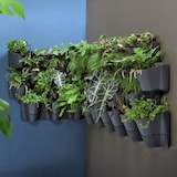 thumbnail of Prosperplast - Fioriera verticale Cascade Wall in plastica color antracite 67x17,7x57 cm