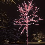 thumbnail of Guirlande Lumineuse IP67 20M 200 MaxiLED rouge et blanc froid scintillant 230V câble vert professionnelle Lotti