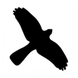 thumbnail of Vogelschutz Aufkleber für Fenster - 180x115 mm Folie selbstklebend