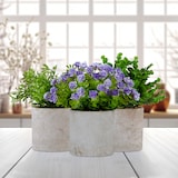 thumbnail of Relaxdays Kunstpflanzen 3er Set, verschiedene künstliche Pflanzen im Topf, lebensechte Plastikpflanzen, grün/lila/grau