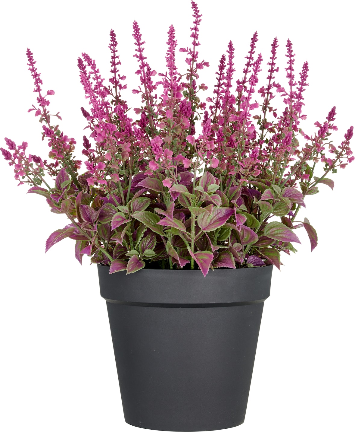 CREATIV green künstliche Pflanze Salvia superba XXL,  im Kunststofftopf,pink, 65cm, UV-beständige