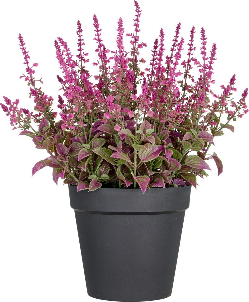 mobile_image