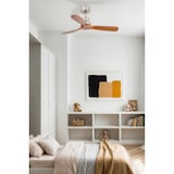 thumbnail of MINI LANTAU S DC-Lüfter aus mattem Nickel