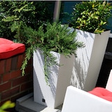 thumbnail of WellHome - Conjunto com 2 vasos 26,6L em antracita