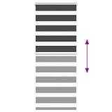 thumbnail of vidaXL Doppelrollo Schwarz 65x150 cm Stoffbreite 60,9 cm Polyester