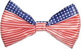thumbnail of USA Fliege