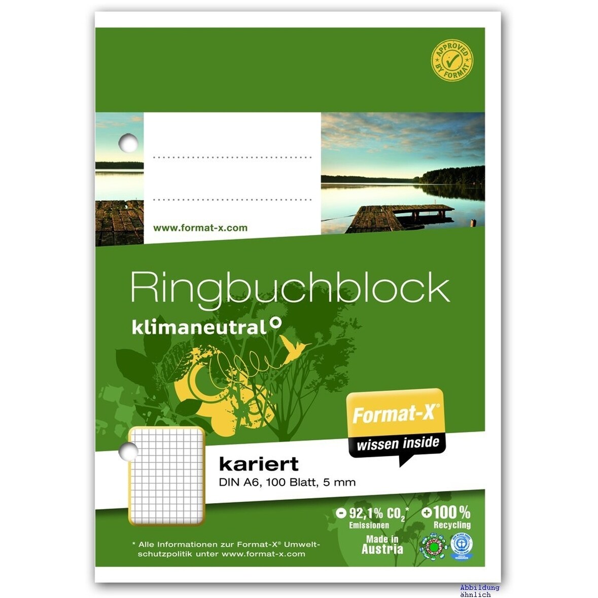 Ringbuchblock A6 70g 100 Blatt 5mm kariert