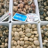 thumbnail of Pack de 12 bandejas resistentes para alimentos (2,2l - com tampa) - sem BPA. Cozinhas, buffets, restaurantes, hotéis...