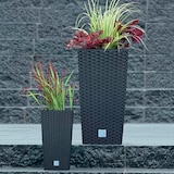 thumbnail of WellHome - Conjunto com 2 vasos 26,6L em antracita