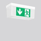 thumbnail of RZB LED-Sicherheitsleuchte 671819.002.2