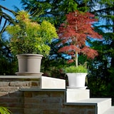 thumbnail of Pflanzkübel GEO Ø 50 cm taupe