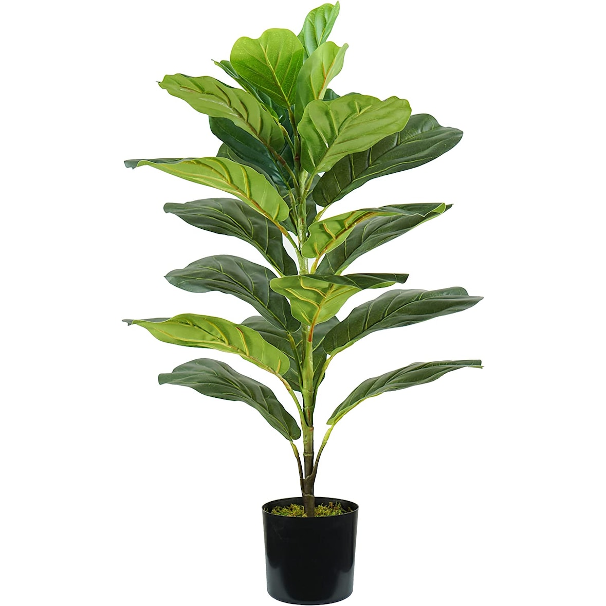 King Home Pianta Ficus Lyrata in polietilene 21 foglie verde