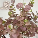 thumbnail of Layba Eucalipto Artificial Rosa Antiguo 85 cm (3 Uds) Serie Deco, Hojas Delicadas, Tallos Flexibles