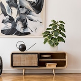 thumbnail of Pianta artificiale / Albero artificiale FICUS 3 85 cm Ficus Elastica Albero della gomma Plastica verde hjh OFFICE