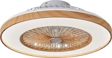 thumbnail of Lumisky Ventilateur Plafond LED WOODIA D48cm Effet bois Aluminium Beige