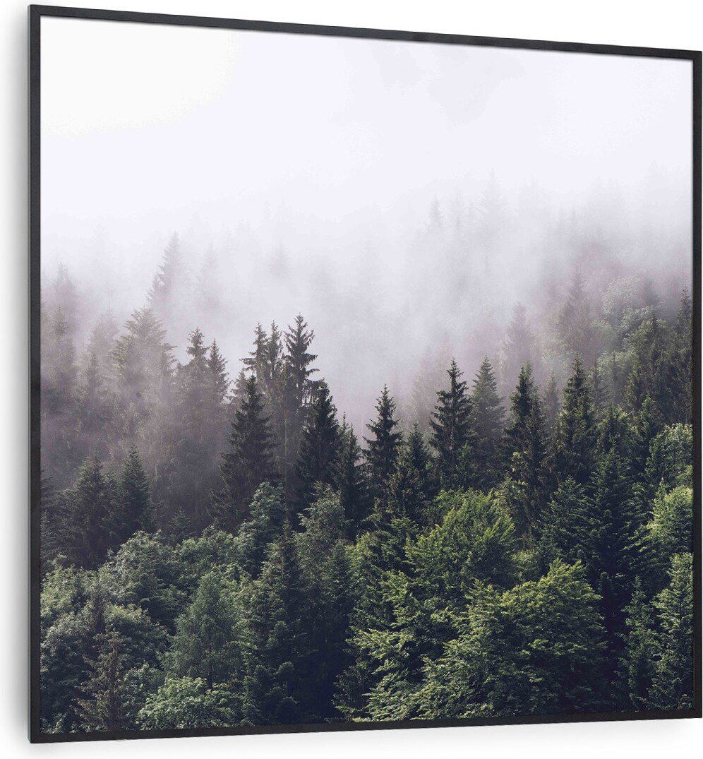 Wonderwall Air Art Smart Infrarotheizung Wald 60x60cm 350W Mehrfarbig
