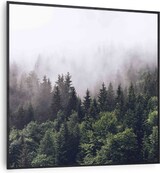 thumbnail of Wonderwall Air Art Smart Infrarotheizung Wald 60x60cm 350W Mehrfarbig