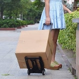 thumbnail of WellHome - Steunwagen in staal en PP met zwarte band 45x23x8cm