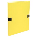 thumbnail of Exacompta - Réf. 38006H - Carton de 10 Chemises dos extensible Forever papier - Jaune