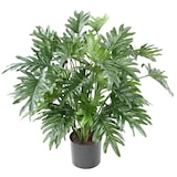 thumbnail of VERT ESPACE plante artificielle philodendron selloum 75 cm