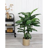 thumbnail of Mica Decorations Dieffenbachia - Kunstpflanze - H 120 cm