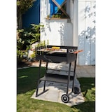 thumbnail of Tarrington House Brigida houtskoolbarbecue, 41 x 58.5 cm, 2 in hoogte verstelbare grillroosters, verrijdbaar, staal, zwart