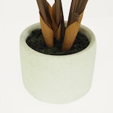 thumbnail of LIGNE DÉCO Plante verte zamioculcas artificiel 48cm