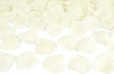 thumbnail of Konfettikanone mit Rosenblättern, creme, 60cm