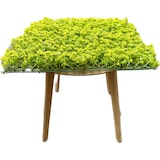 thumbnail of GeckoParete "ULM" | Parete vegetale verde fiori premium | Rivestimento boiserie gastronomia | Montaggio piante artificiali | Pannelli murali muschio