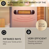 thumbnail of Rising Sun Zenith Heizstrahler 2500W IP34 Fernbedienung Schwarz