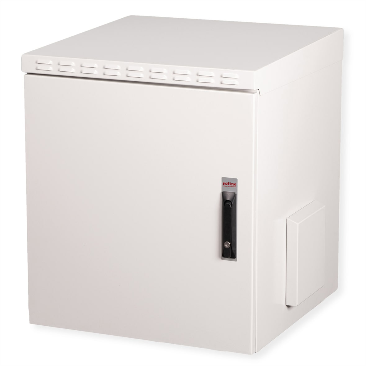 ROLINE Custodia da 19 pollici per montaggio a parete Pro 12 U, 600x600 LxP IP55 grigio esterno