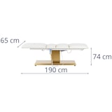 thumbnail of physa Elektrische Kosmetikliege - 3 Motoren - 300 W - 190 x 65 x 60 - 73 cm - 150 kg - weiß/golden