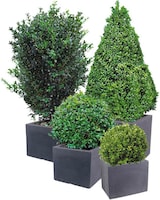 thumbnail of 4er Set Pflanzkübel `Kubus` Übertöpfe Blumentopf 50cm Kunststoff 50