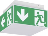 thumbnail of Ceag Notlichtsysteme LED-Würfel RZ ExitCube#40071353420