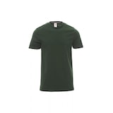 thumbnail of PAYPER T-Shirt SUNRISE – Kurzarm-Shirt aus Baumwolle mit Rundhalsausschnitt und angenehmer Passform grün S