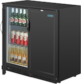 thumbnail of Hintere Bar mit zwei schwenkbaren Volltüren Polar G-Serie schwarz 208L